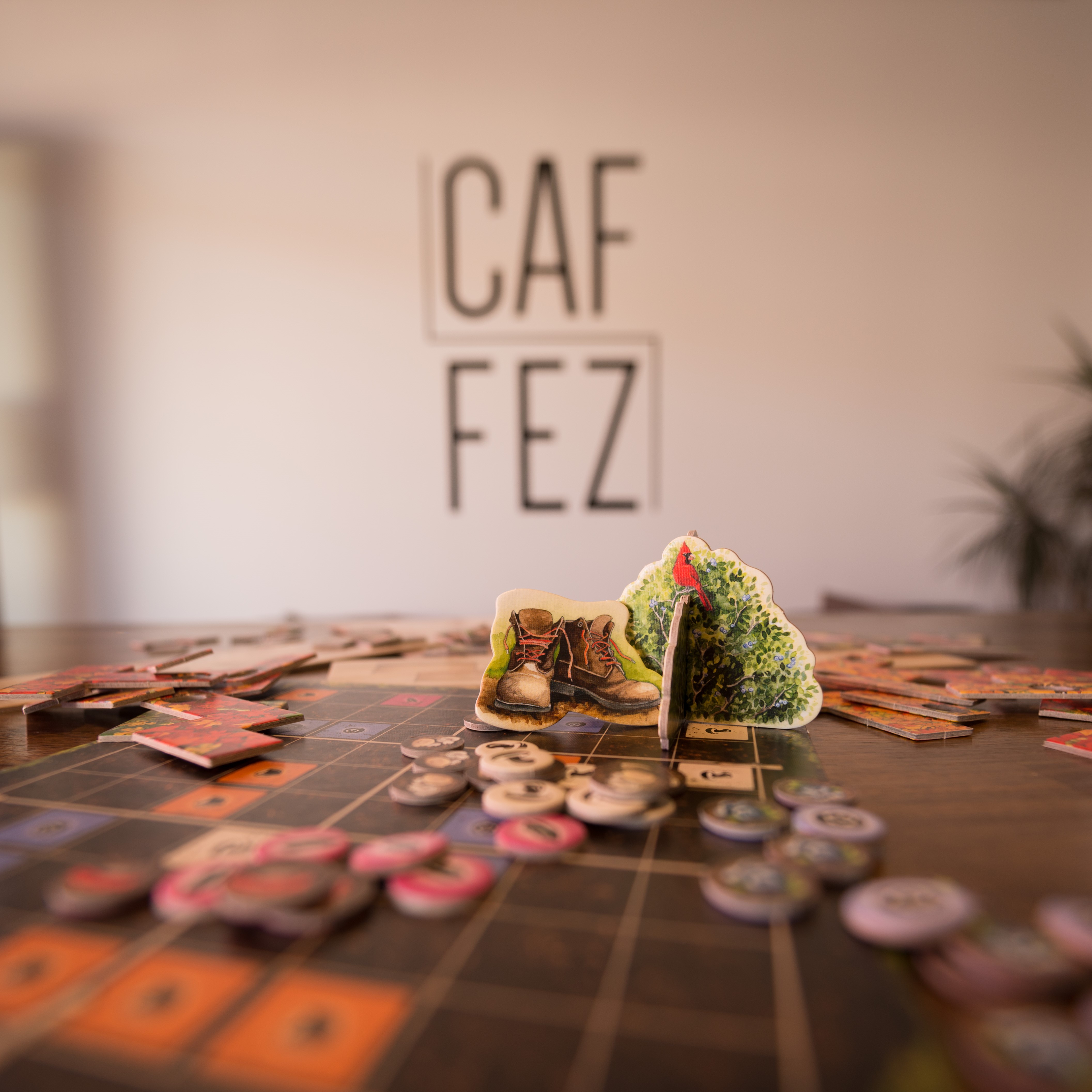 gamenight-caf-fez